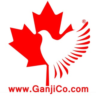 🇨🇦موسسه مهاجرتی گنجی کانادا🇨🇦 (@canada_ganji_immigration)