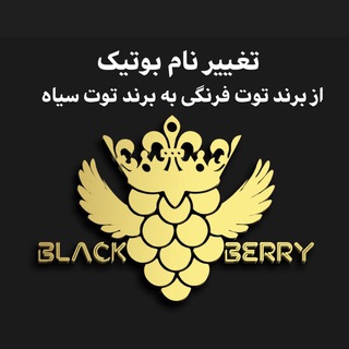 پوشاك زنانه توت سياه(توت فرنگی سابق) (@clothing_blackberry)