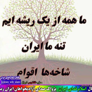 🎀🍷 اسلام فدای ایران 🍷🎀 (@definitely_we_will_win)