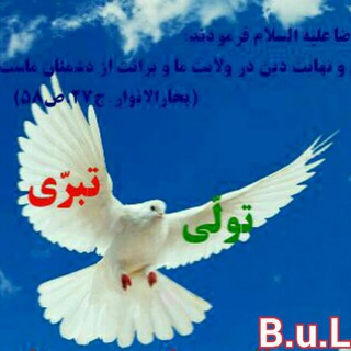 دو بال برای پرواز (@doballeparvaz)