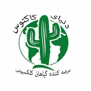 فروشگاه دنیای کاکتوس (@donyayecactoos)