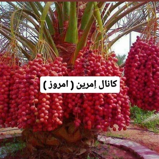 اِمرین (@emrinhamo)