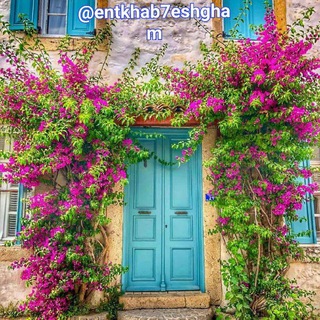 انتخاب عشقم"(کانال ازدواج) (@entkhab7eshgham)