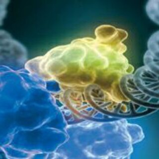 Biochemistry (@essential_biochemistry)
