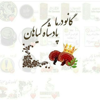 معجزه سلامتی با گانودرما (@ganodermatreatment)