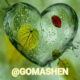 ✌️گـۆمەشین سنە📡 (@gomashen)
