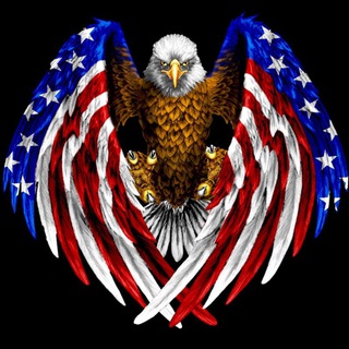 🇺🇸UNITED.STATES.OF.AMERICA🇺🇸 (@hamechiamerica)