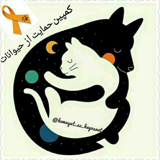 کمپین حمایت از حیوانات (@hemayat_az_heyvanat)