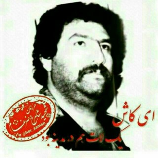 شهید شاهرخ ضرغام 🥀حــُـر زمان 🇮🇷 (@hor_zaman)