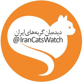 دیدهبان گربههای ایران (@irancatswatch)
