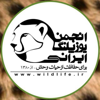 انجمن یوزپلنگ ایرانی (@iraniancheetahsociety)