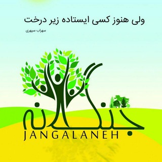 جنگلانه (@jangalaneh)