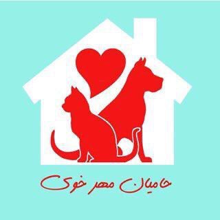 کانال حمایت از حیوانات خوی (@khoyanimalshelper)
