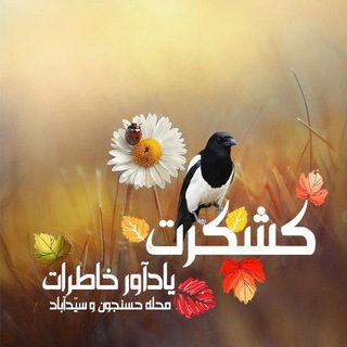 کُشکُرُت؛ یادآورخاطرات (@koshkorot)