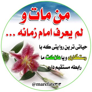 معرفت الامام (ساده و روان) (@marefate313)
