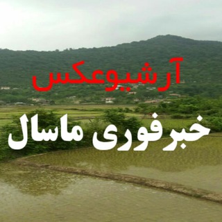 آلبوم تصاویر اخبار ماسال (@masalfori)