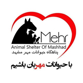 Mehr Animal Shelter (پناهگاه حیوانات آسیب دیده مهر مشهد) (@mehranimalshelter88)