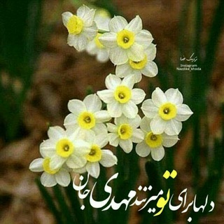 مشکات (@meshkatshushtar)