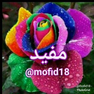 مفیــــــــــــــــــــــــــــــــــد (@mofid18)