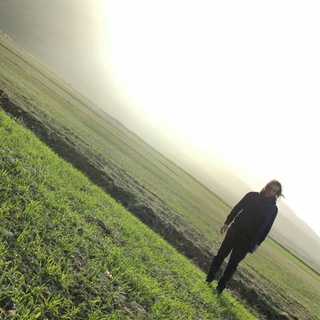 هیاهو (محمدرجبی اوکتای) (@mohamadrajjabi_uktay)