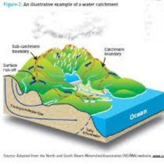 The Largest and the Most Specialized Natural Habitats Channel in Iran (TLAMSNRCI) (@naturalresources)