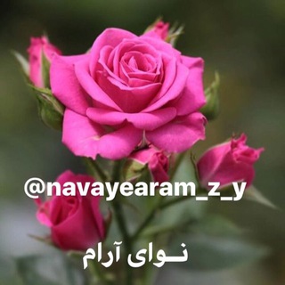 نــوای آرام (@navayearam_z_y)