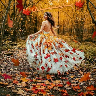 🍂🍁 پاییزان 🍁🍂 (@paeizanam)