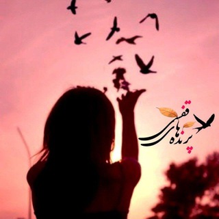 پرنده هاےِ قفسی 🕊 (@parandehaye_ghafasi)