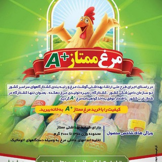 پخش گوشت ومرغ پرطلا (@partalapiranshahr)