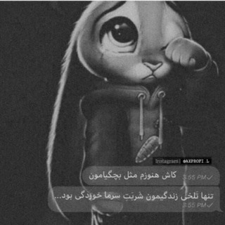 因↘↗ بُّیُّوُّ شُّاُّخُّ↖↙因 (@porofail_story)