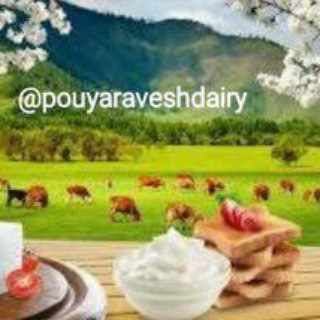 مواد اولیه جهت لبنیات سنتی (@pouyaraveshdairy)