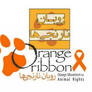 حمایت روبان نارنجی ها (@rooban_narenjiha)