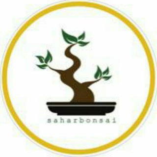 Saharbonsai (@saharbonsai)