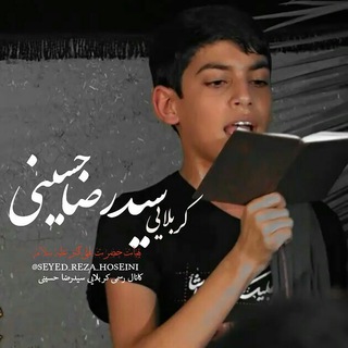 کانال کربلایی سیدرضا حسینی (@seyed_reza_hoseini)
