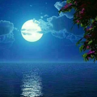 شعـر ڪــوتاه (@shabhaye_niloofari)