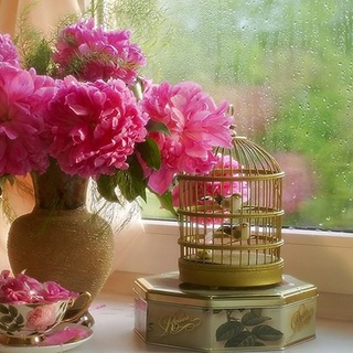 🌺 پنجره ی خیس 🌺 (@shafigheh_tahmasebi)