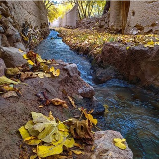 روستای شلیلوند (@shalilvand_ir)