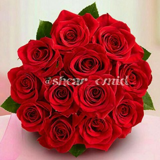 شعر امید (@shear_omid)