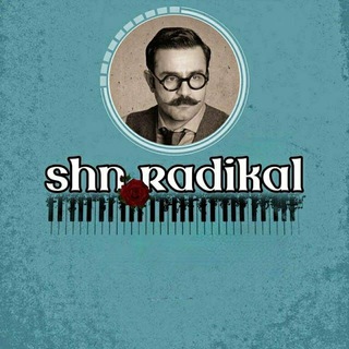شاهین نجفی | ShahinNajafi (@shn_radikal)