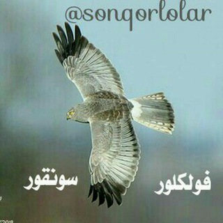 فولکلور سونقور (@sonqorlolar)