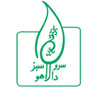 سرو سبز دالاهو (@sowl_ngo)
