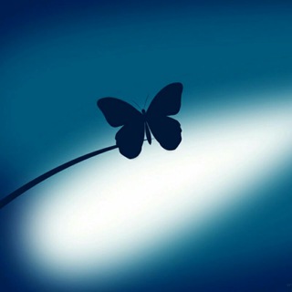 Blue Butterfly (@sustainedbluebutterfly)