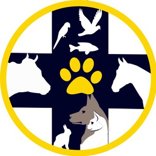 Veterinary medicine | دامپزشکی و دامپروری (@veterinarymedicine)