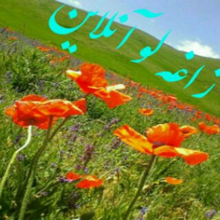 📡زاغهلو آنلاین📡 (@zaghehlou_online)