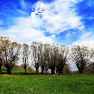Zanasouj EcoVillage بومدهکده زَناسوج (@zanasouj_ecovillage)