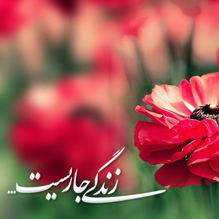 🌸 زندگے جاریست 🌸 (@zendegijarist2)