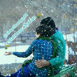 🌾єstatoosє кђaŦan🌾 (@zibayghamgin88)