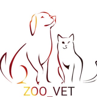 کلینیک دامپزشکیZOO VET (@zoo_vet)
