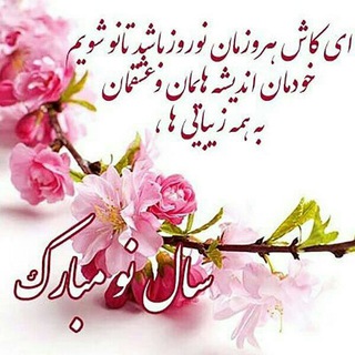 گوگوندولی (@googoondooli)