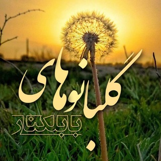 گلبانوهای بابلکنار (@golbanohay_babelkenar)